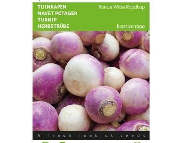 Semences de Navet De Nancy - Brassica rapa - Jardins du Monde be