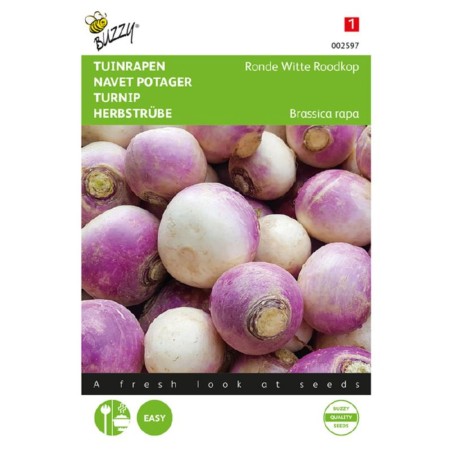 -Jardins du Monde be - Zaden van Rapen Ronde Witte Roodkop, de Nancy - Brassica rapa