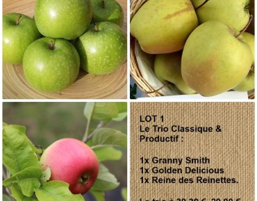 LOT 1 — Le Trio de pommiers...