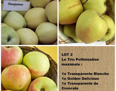 Los 2 – Apfelbaum-Trio für...