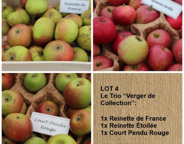 SET 4 — Het trio van...