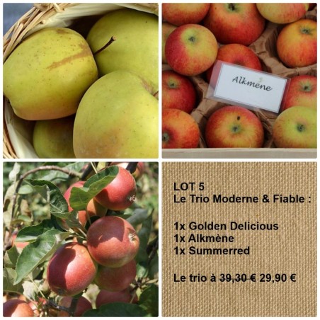 Trio de pommiers : Golden Delicious, Alkmène, Summerred