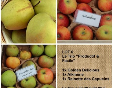 Los 6 – Drei ertragreiche...