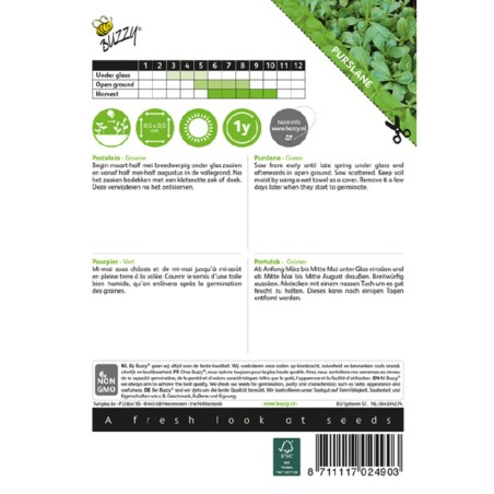 Samen Portulak Grüner - Portulaca oleracea