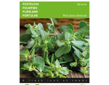 Semences Pourpier Vert – Portulaca oleracea - Jardins du Monde be