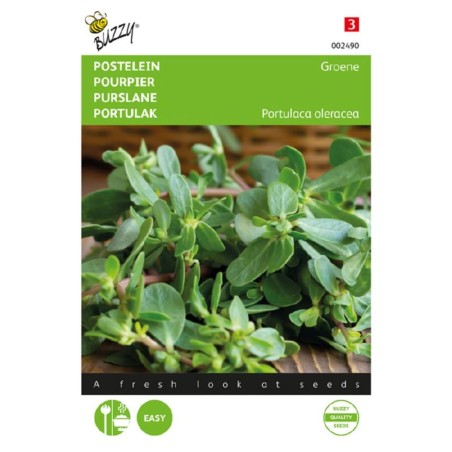 Zaden Postelein Groene - Portulaca oleracea