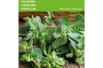 Semences Pourpier Vert – Portulaca oleracea - Jardins du Monde be