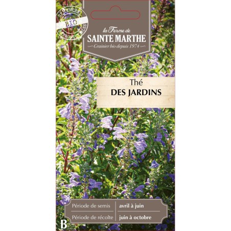 Samen Thé des jardins - Dracocephalum moldavica
