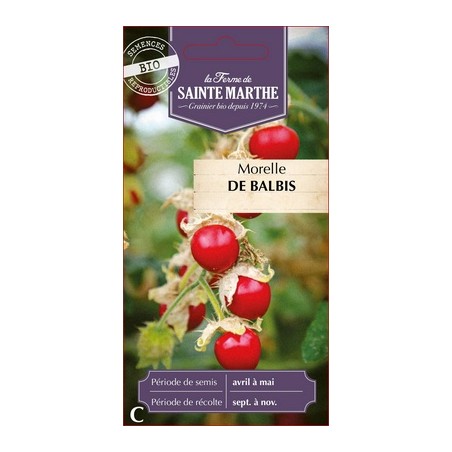 Seeds Morelle de Balbis - Litchi Tomato - Solanum sisymbriifolium