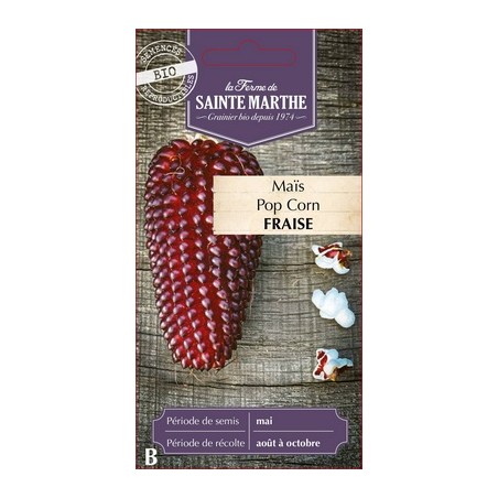 Seeds Popcorn Red Strawberry - Zea mays
