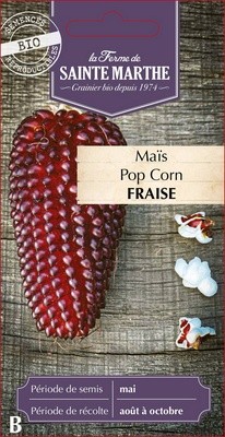 Maïs Pop-corn Fraise
