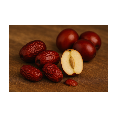 Jujubier Abundance – Ziziphus jujuba ‘Abundance’ - Jardins du Monde be