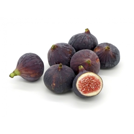 Feigenbaum Ice Crystal — Ficus carica ‘Ice Crystal’