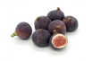 Feigenbaum Ice Crystal — Ficus carica ‘Ice Crystal’