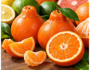 Tangelo Minneola - Citrus x tangelo 'Minneola' - Jardins du Monde be