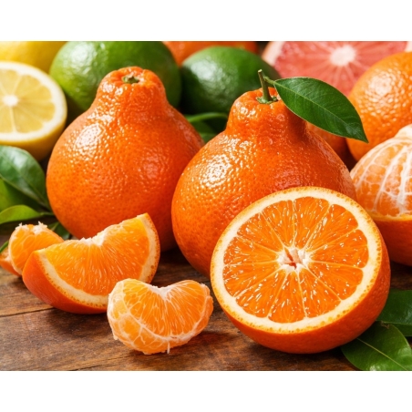 Tangelo Minneola - Citrus x tangelo 'Minneola' - Jardins du Monde be