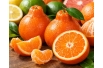 Tangelo Minneola - Citrus x tangelo 'Minneola' - Jardins du Monde be