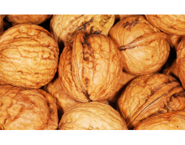 Walnuss Tulare - Juglans regia Tulare - Jardins du Monde be