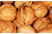 Noyer royal Tulare - Juglans regia Tulare - Jardins du Monde be