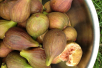 Vijgenboom ‘Brunswick’ - Ficus carica 'Brunswick'