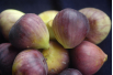 Vijgenboom Terza - Ficus carica Terza - CostaPPPR, CC BY-SA 4.0, via Wikimedia Commons