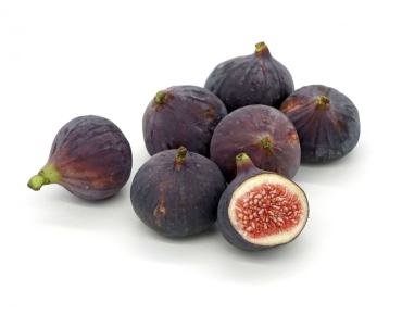 Feigenbaum Pastilière - Ficus carica Pastilière - Jardins du Monde be