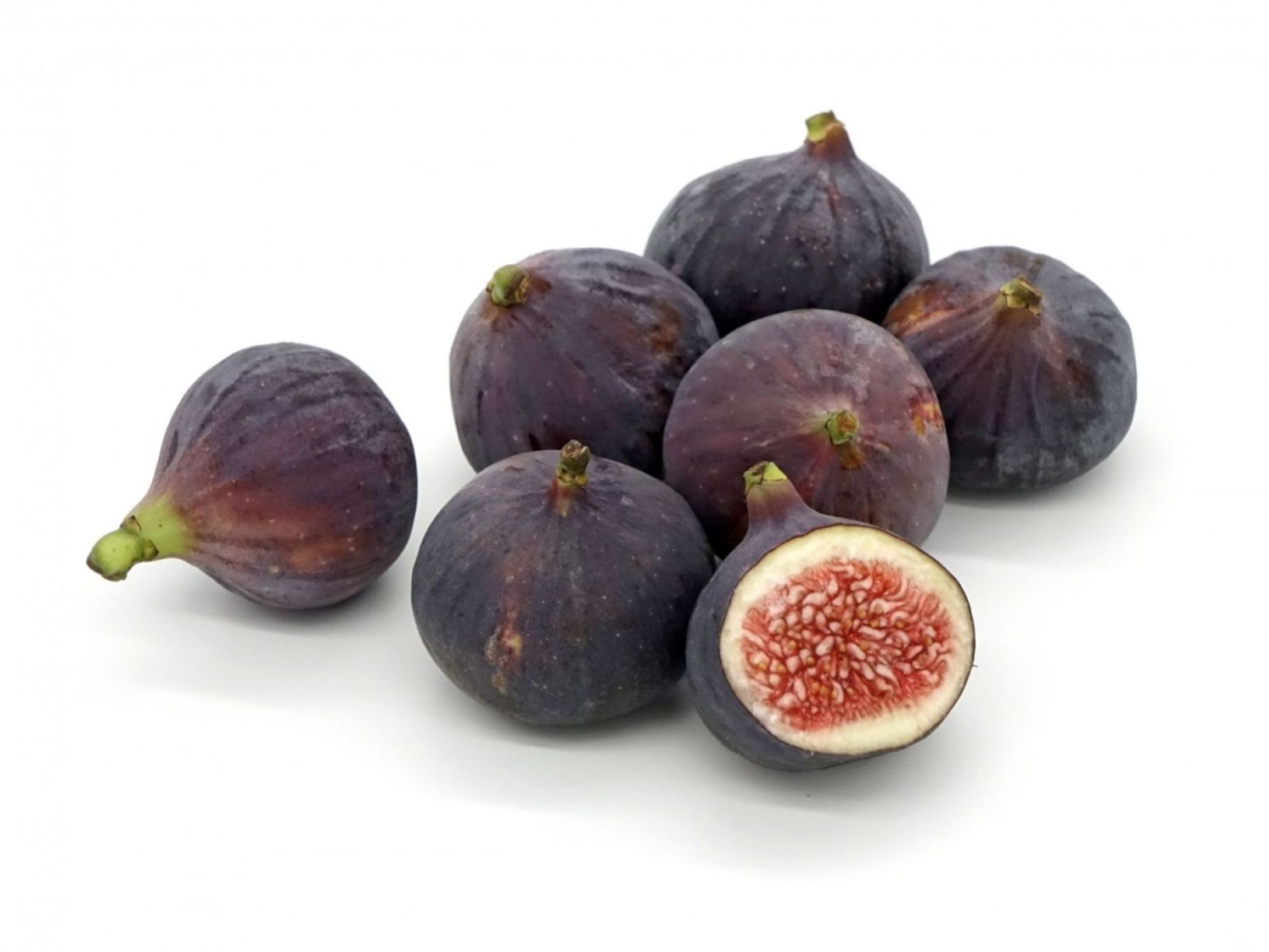 Figuier Pastilière - Ficus carica Pastilière
