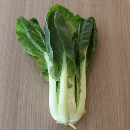 Pak choi Canton