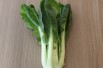 Pak choi Canton