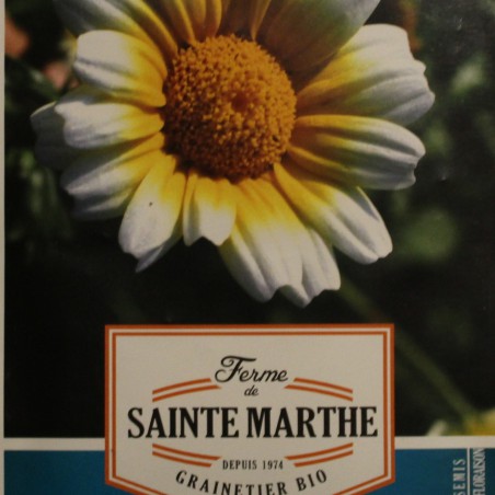 Semences Chrysanthème comestible - Glebionis coronaria