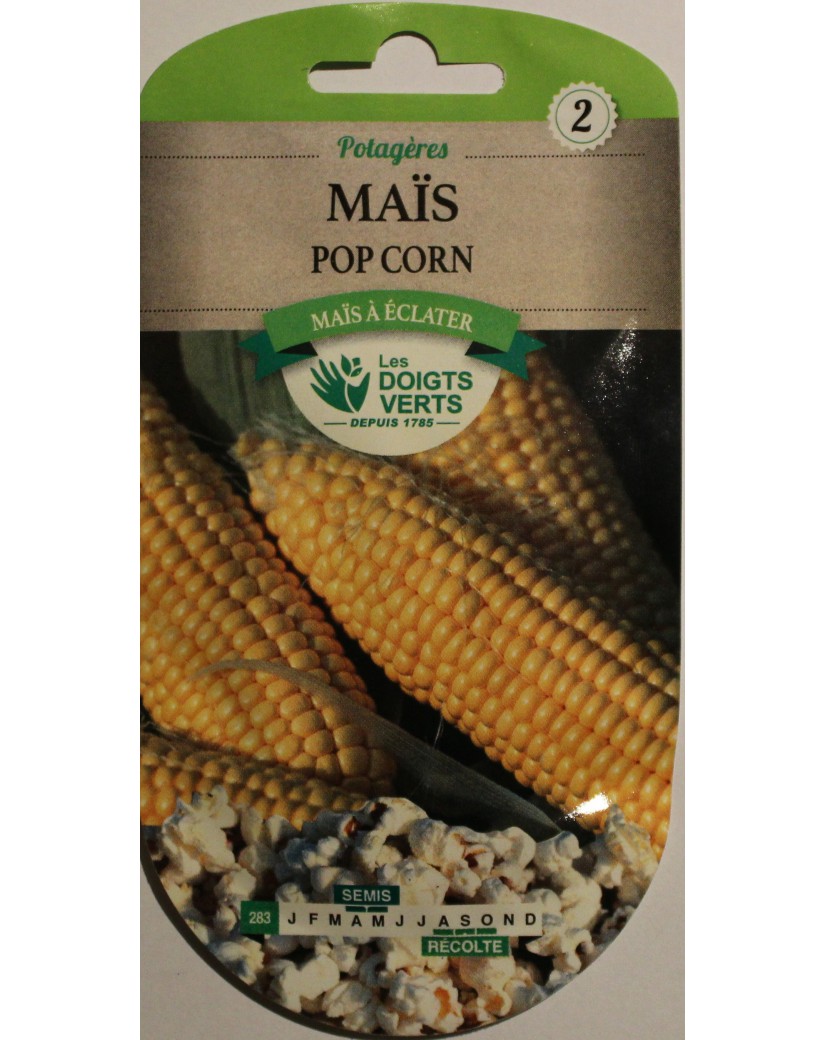 Graines De Maïs Fraise (Pop Corn) - Zea Mays - SEM01 - Variété Française