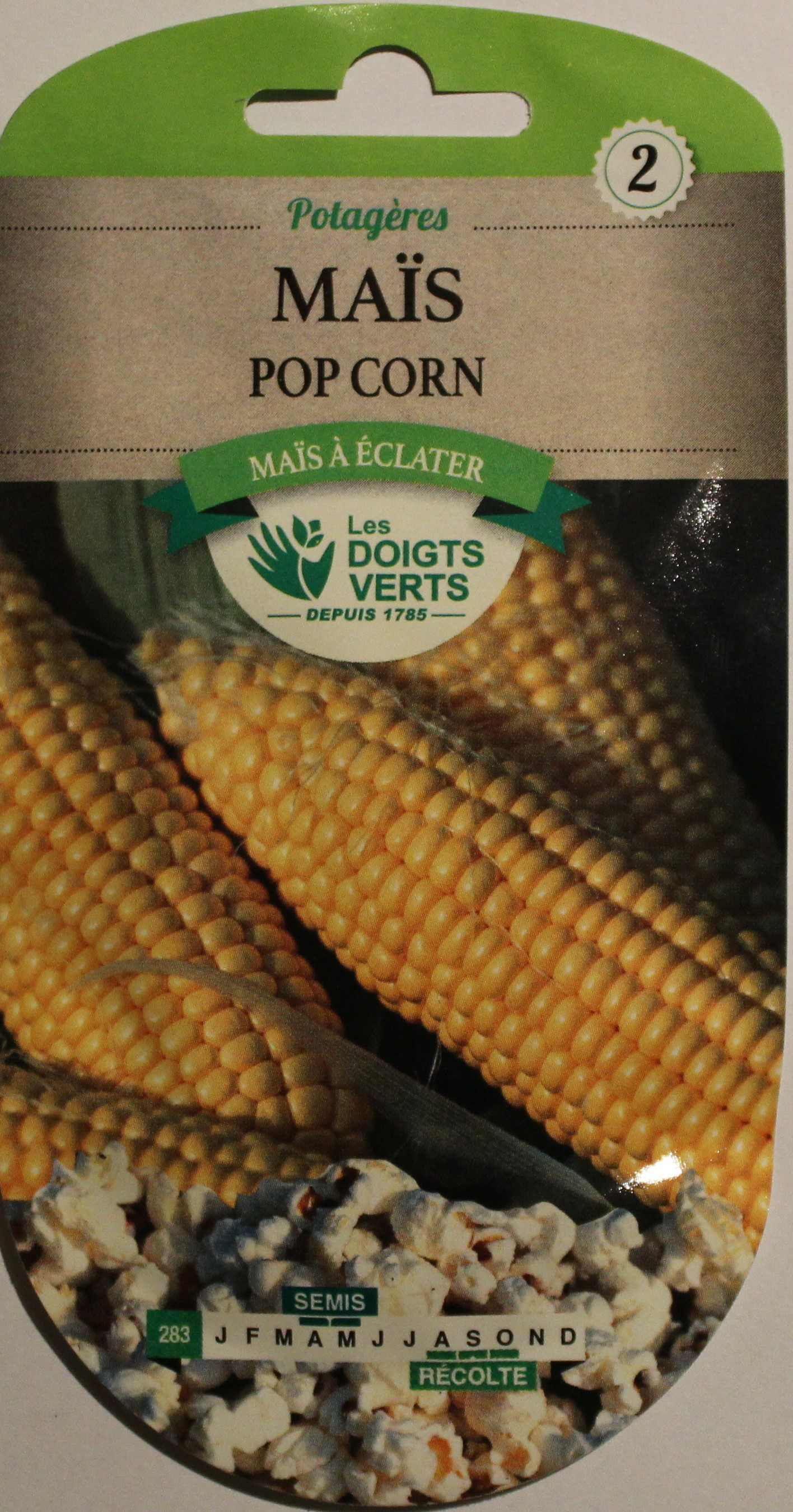 Maïs Pop Corn