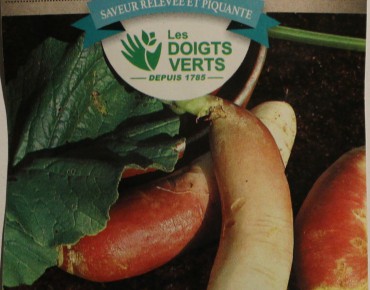 Mierikswortel
