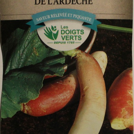 Samen Raifort de l'Ardèche - Cochlearia armoracia L.