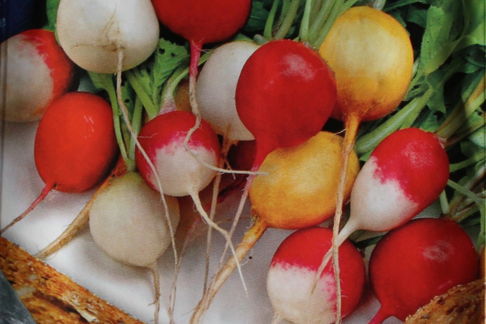 Radish mixed  Radish mixed