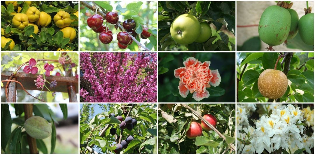 Explorez notre catalogue général !