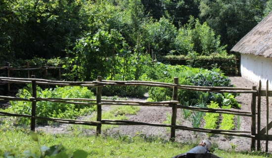 Comment débuter un petit potager ?