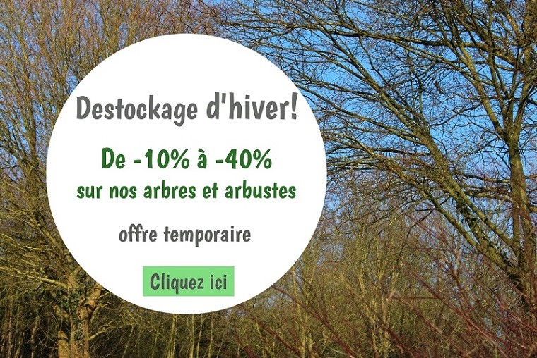 Déstockage  d'hiver!