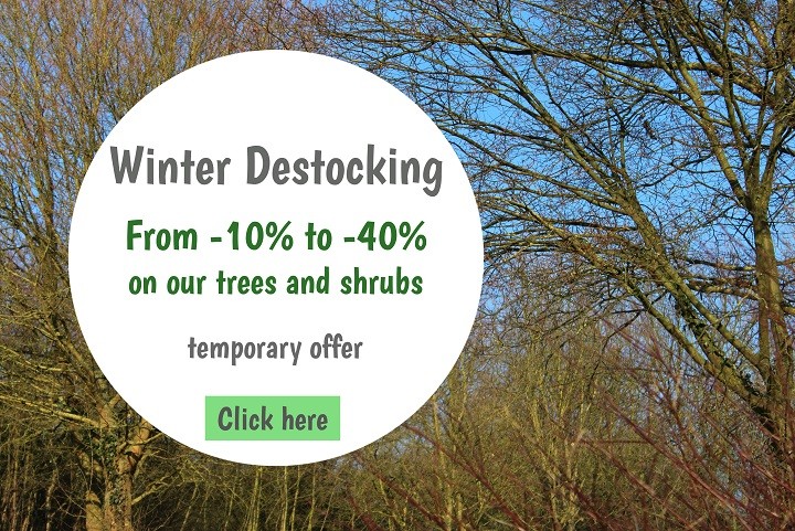 Winter destocking